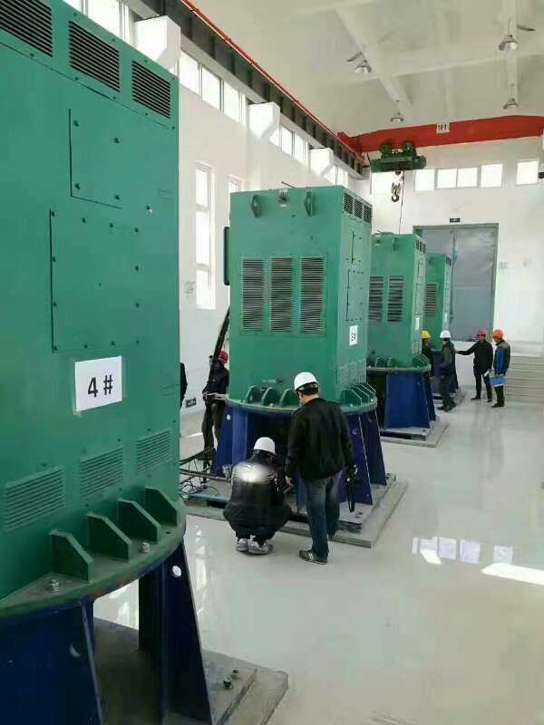 乌苏某污水处理厂使用我厂的立式高压电机安装现场
